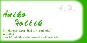 aniko hollik business card